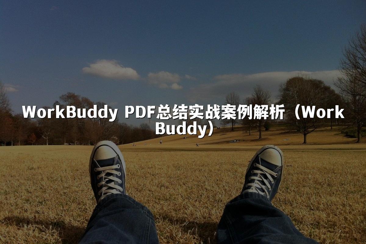WorkBuddy PDF总结实战案例解析(WorkBuddy)
