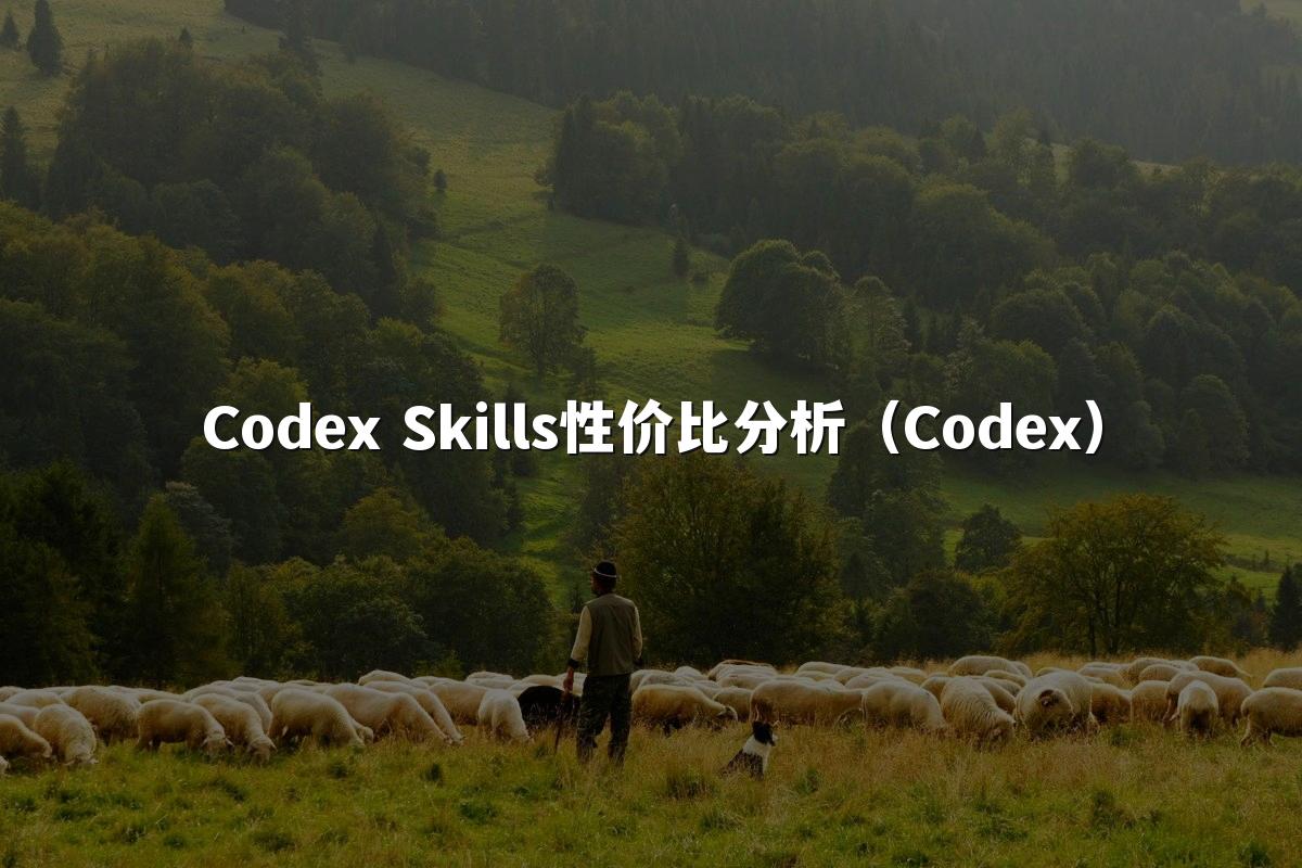 Codex Skills性价比分析（Codex）