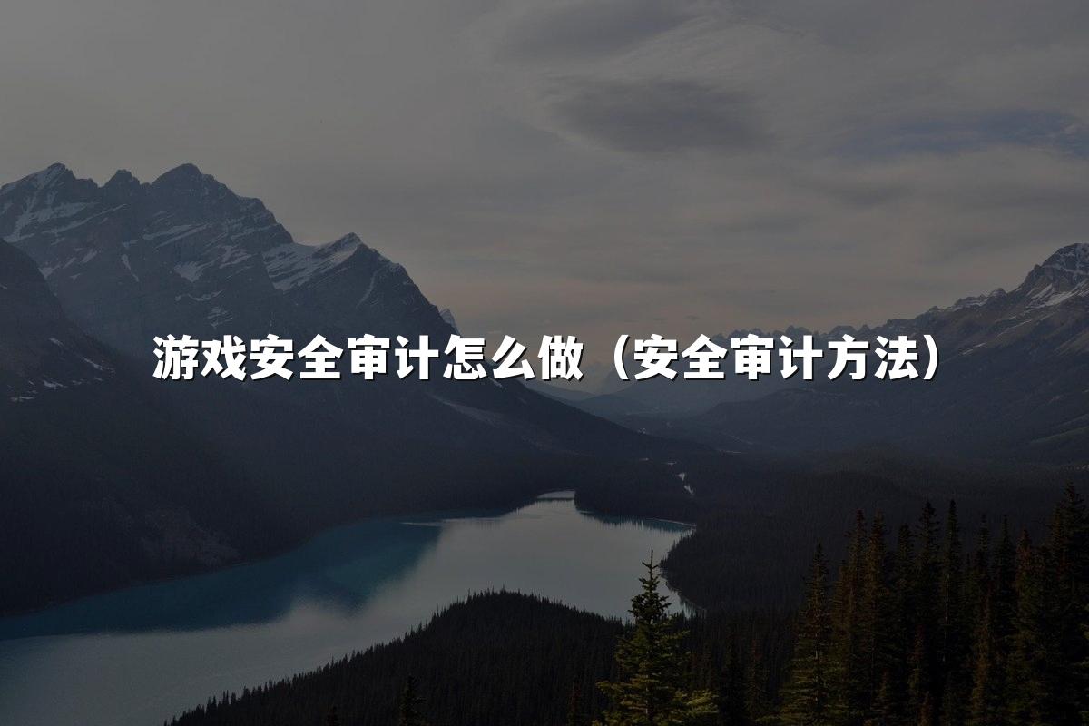 游戏安全审计怎么做(安全审计方法)