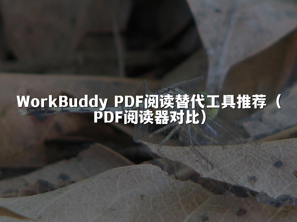 WorkBuddy PDF阅读替代工具推荐（PDF阅读器对比）