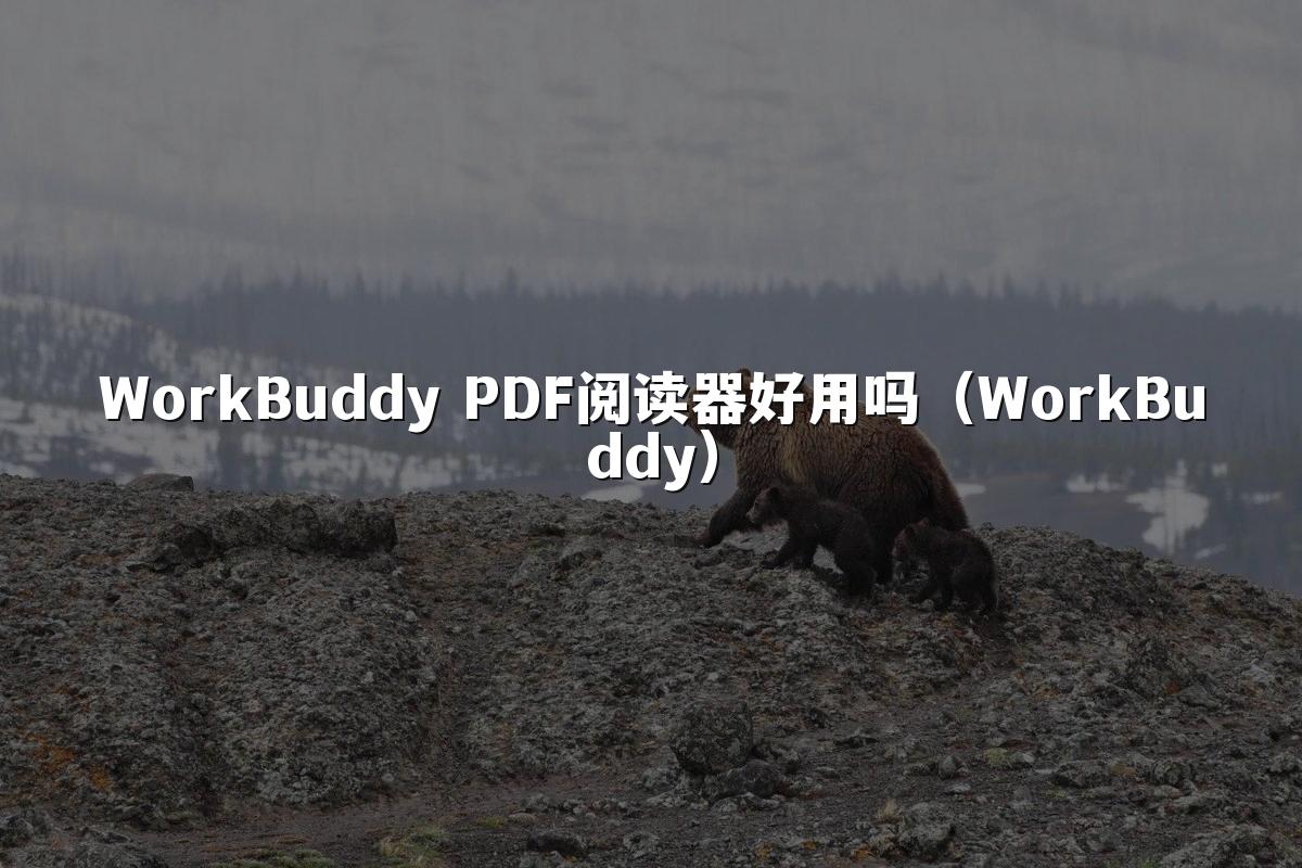 WorkBuddy PDF阅读器好用吗（WorkBuddy）