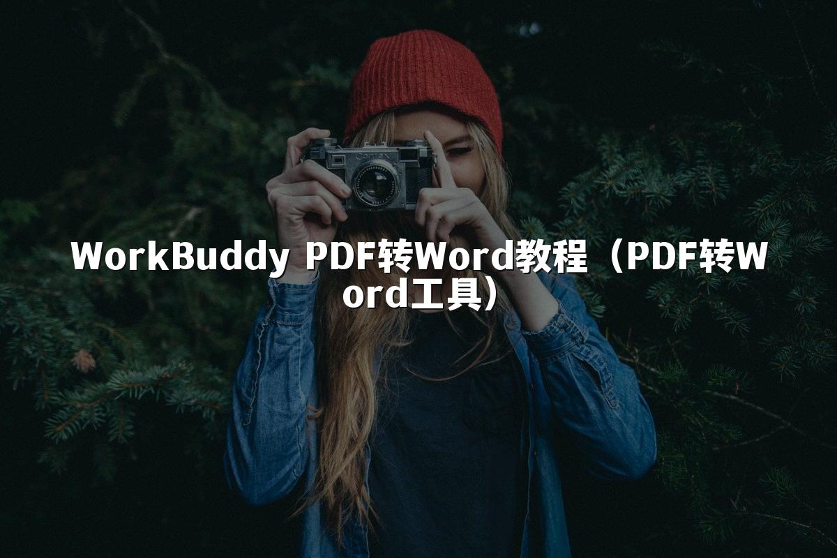 WorkBuddy PDF转Word教程(PDF转Word工具)