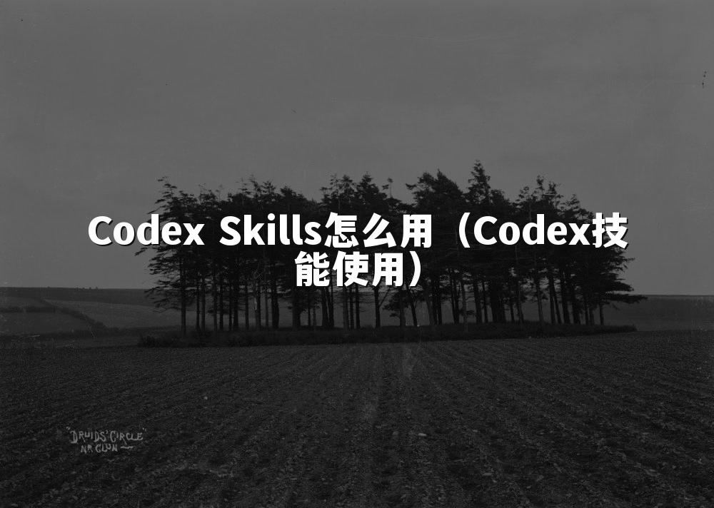 Codex Skills怎么用（Codex技能使用）