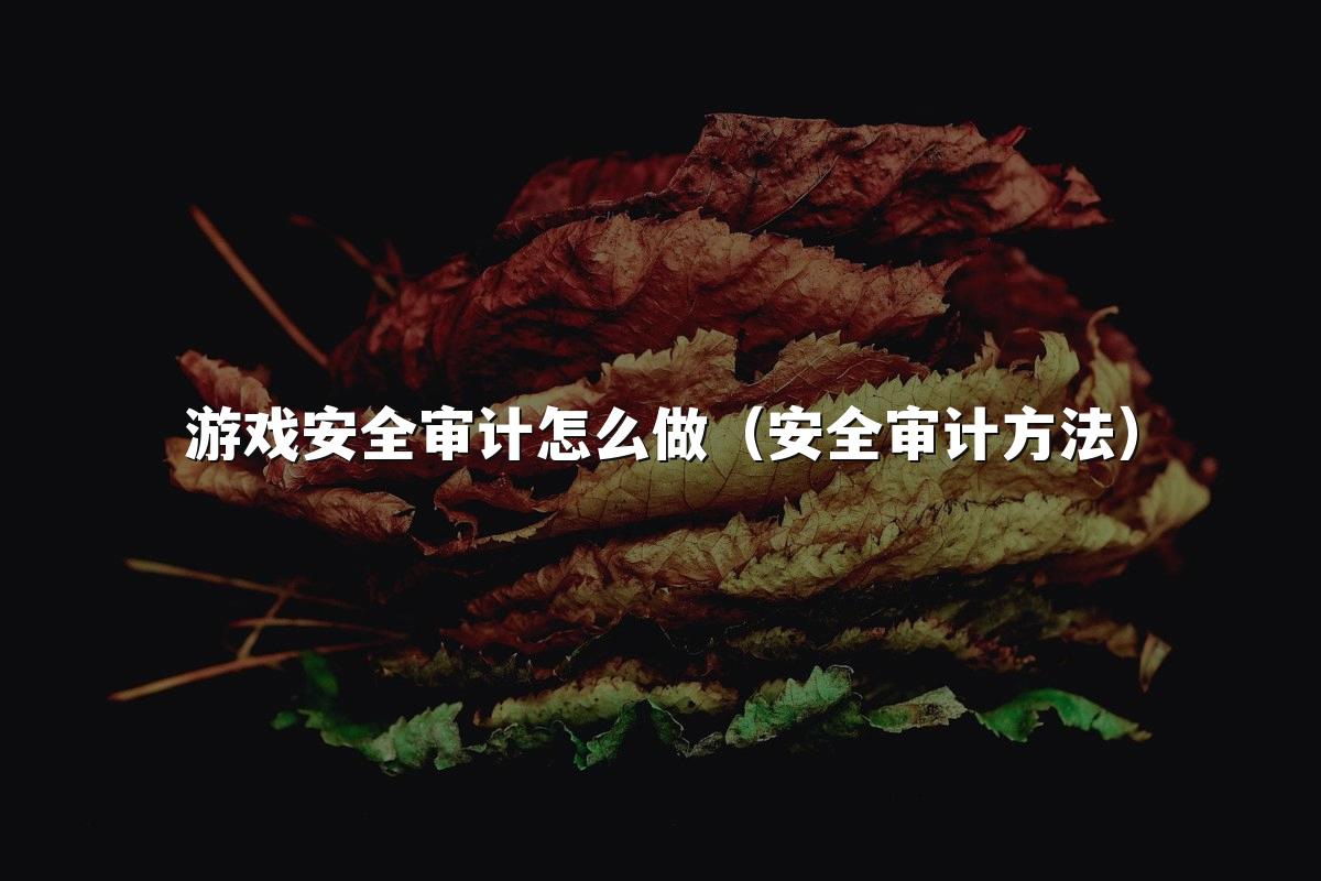 游戏安全审计怎么做（安全审计方法）