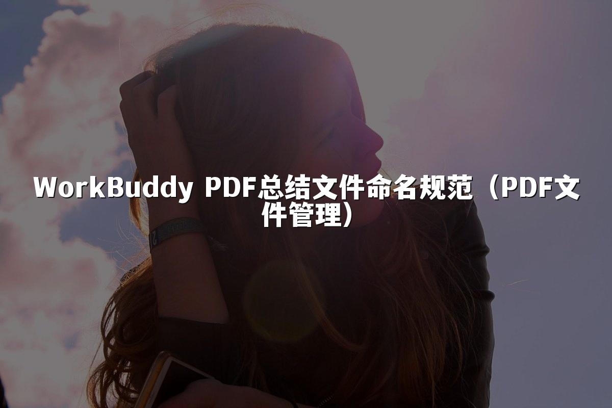 WorkBuddy PDF总结文件命名规范(PDF文件管理)