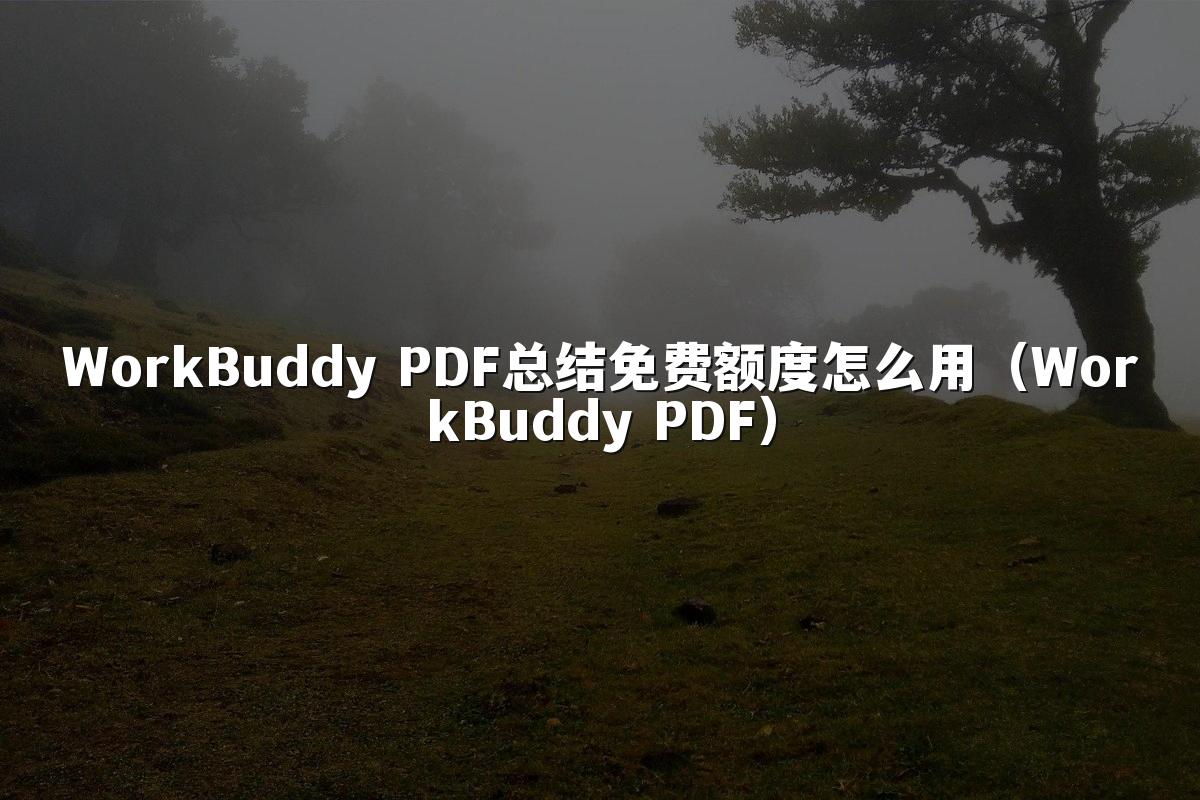 WorkBuddy PDF总结免费额度怎么用(WorkBuddy PDF)