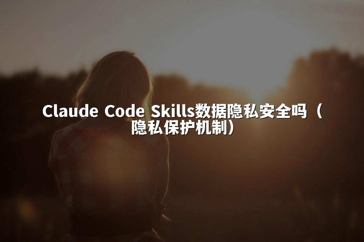 Claude Code Skills数据隐私安全吗（隐私保护机制）