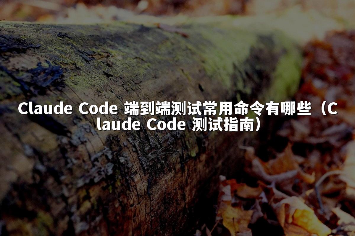 Claude Code 端到端测试常用命令有哪些（Claude Code 测试指南）