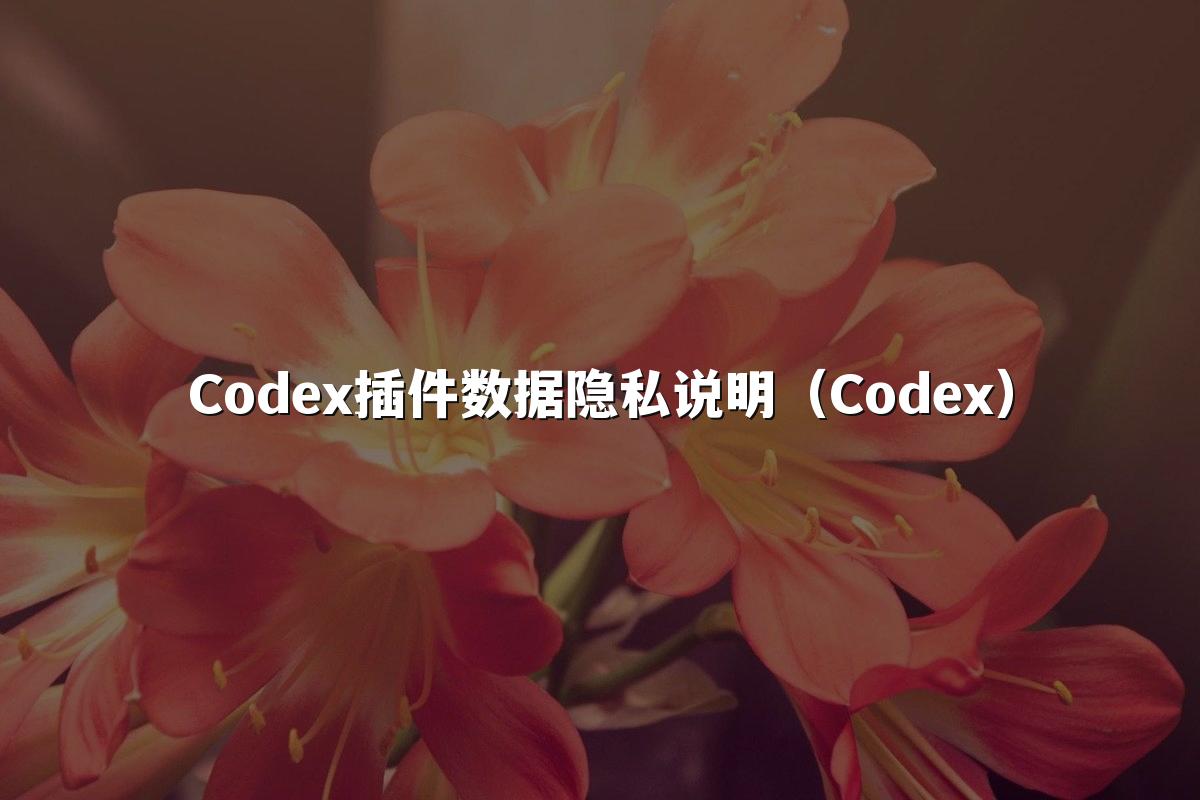 Codex插件数据隐私说明（Codex）