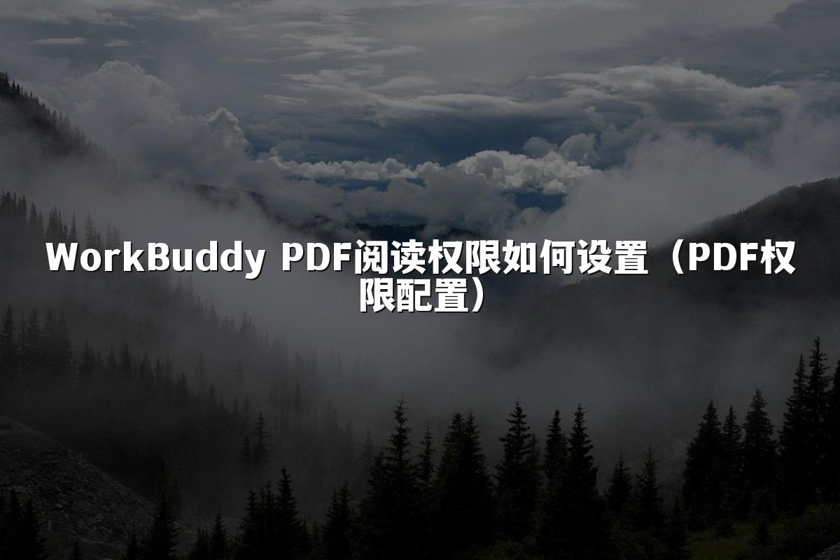 WorkBuddy PDF阅读权限如何设置（PDF权限配置）
