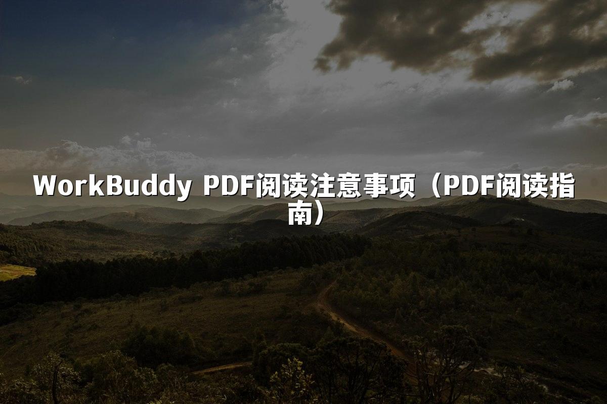 WorkBuddy PDF阅读注意事项（PDF阅读指南）