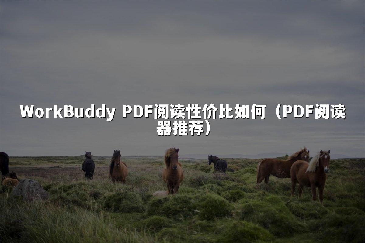 WorkBuddy PDF阅读性价比如何（PDF阅读器推荐）