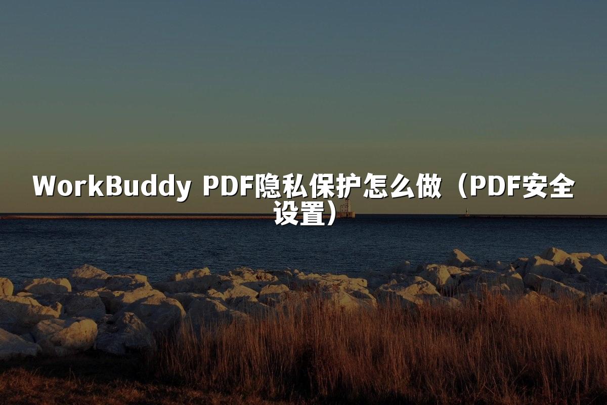WorkBuddy PDF隐私保护怎么做(PDF安全设置)