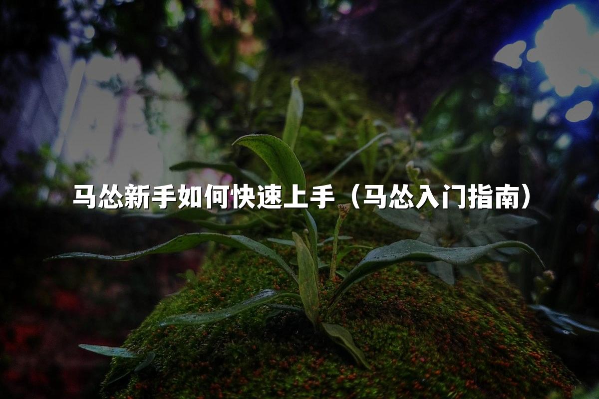 马怂新手如何快速上手（马怂入门指南）