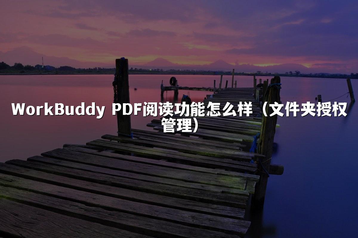 WorkBuddy PDF阅读功能怎么样（文件夹授权管理）