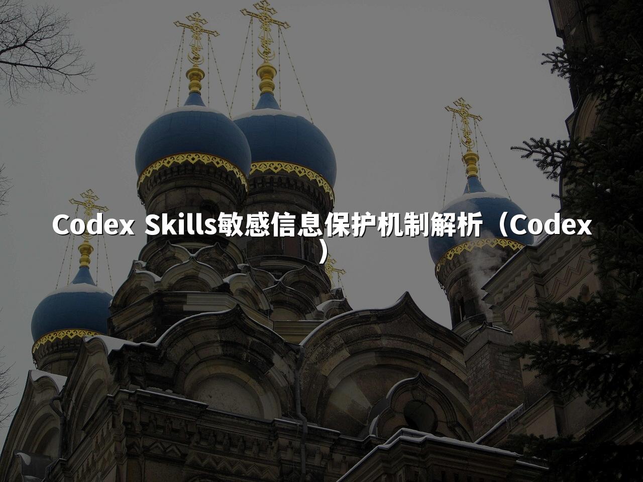 Codex Skills敏感信息保护机制解析（Codex）