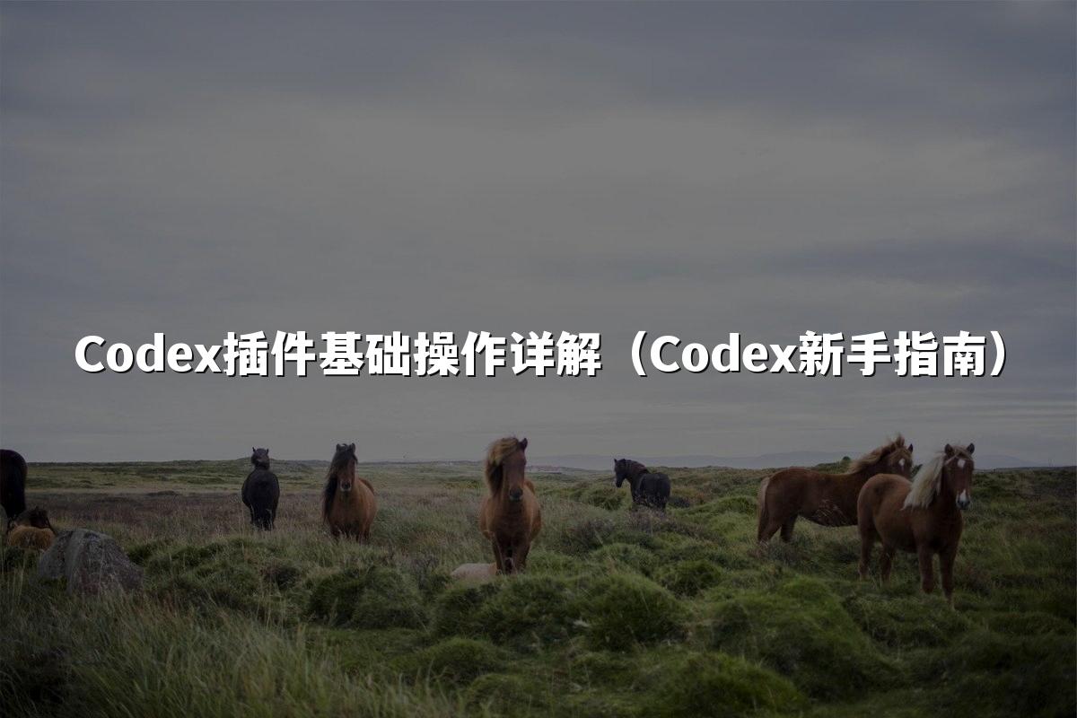 Codex插件基础操作详解(Codex新手指南)