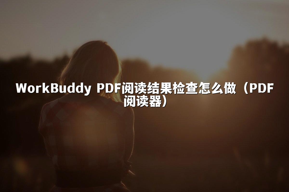 WorkBuddy PDF阅读结果检查怎么做（PDF阅读器）