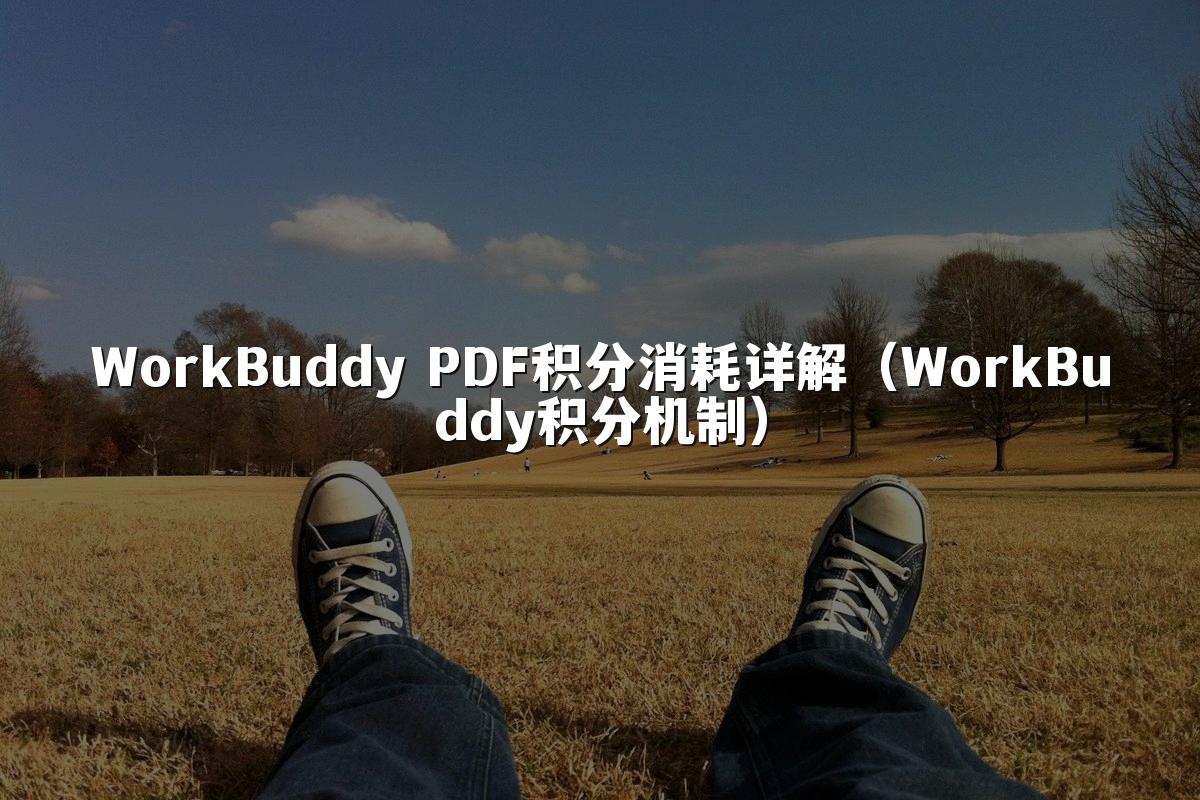 WorkBuddy PDF积分消耗详解(WorkBuddy积分机制)