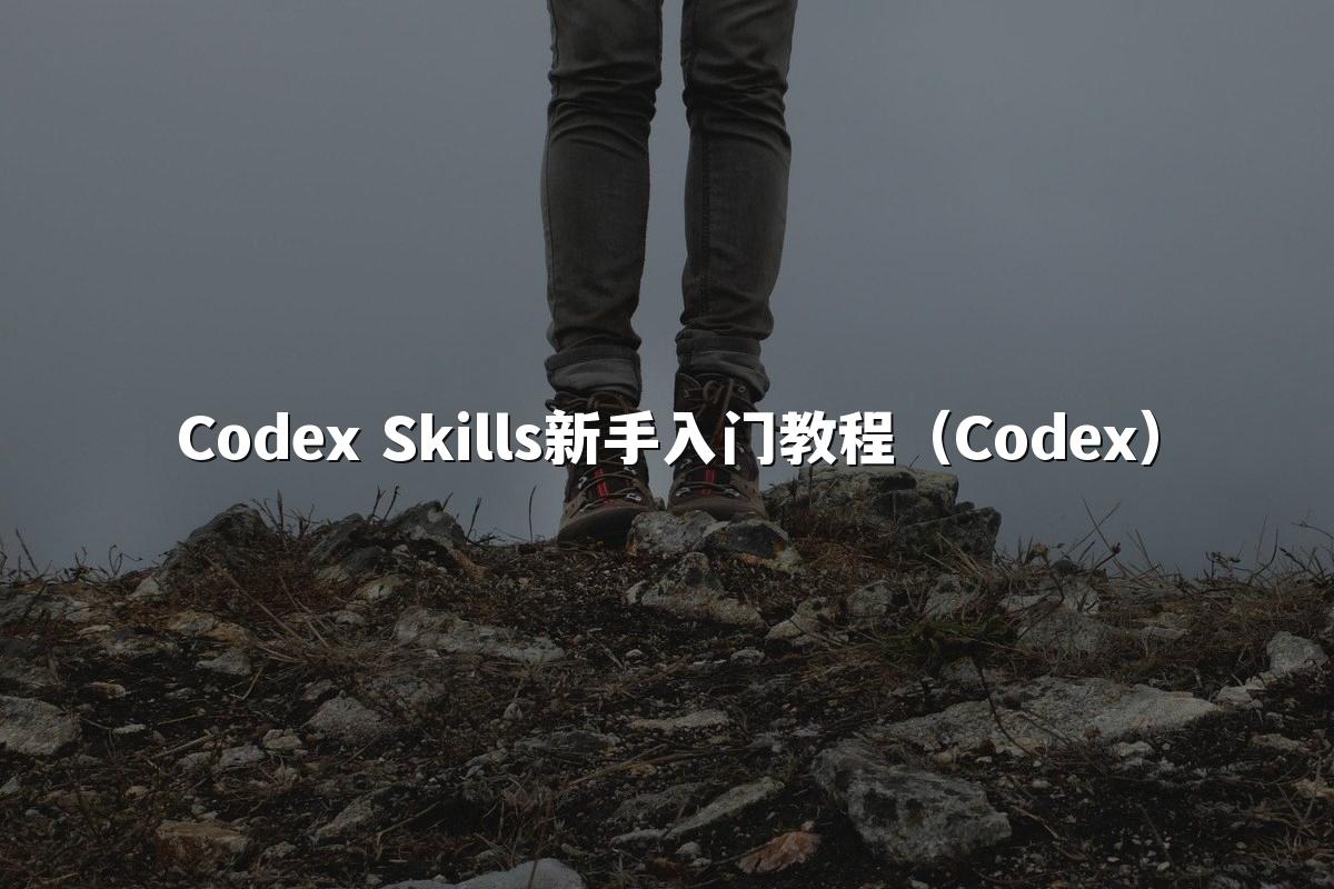 Codex Skills新手入门教程(Codex)