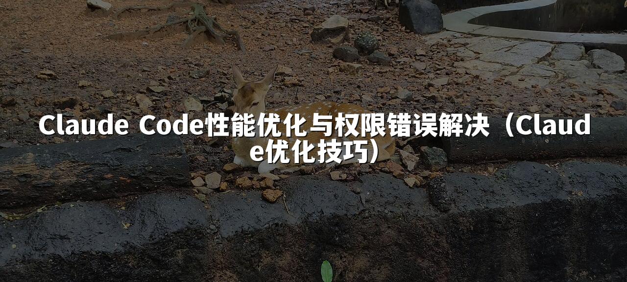 Claude Code性能优化与权限错误解决（Claude优化技巧）
