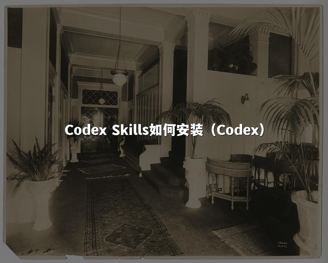 Codex Skills如何安装(Codex)