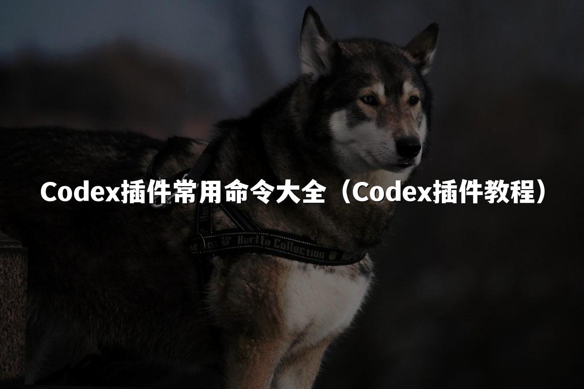 Codex插件常用命令大全（Codex插件教程）