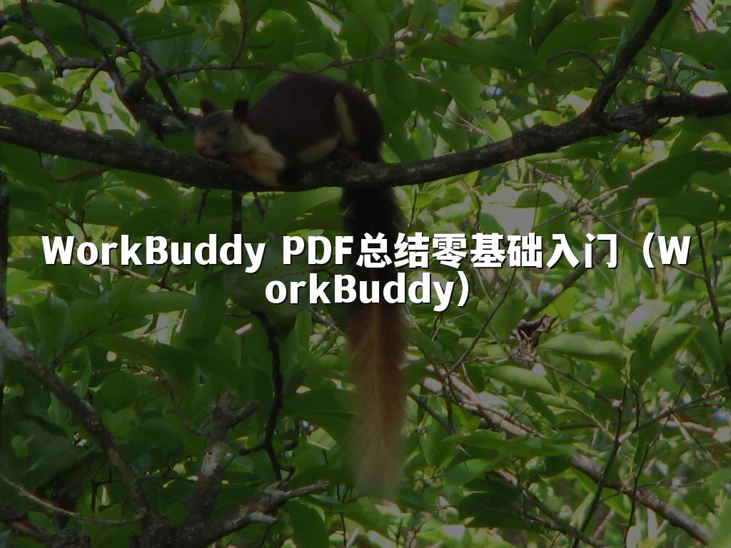 WorkBuddy PDF总结零基础入门（WorkBuddy）