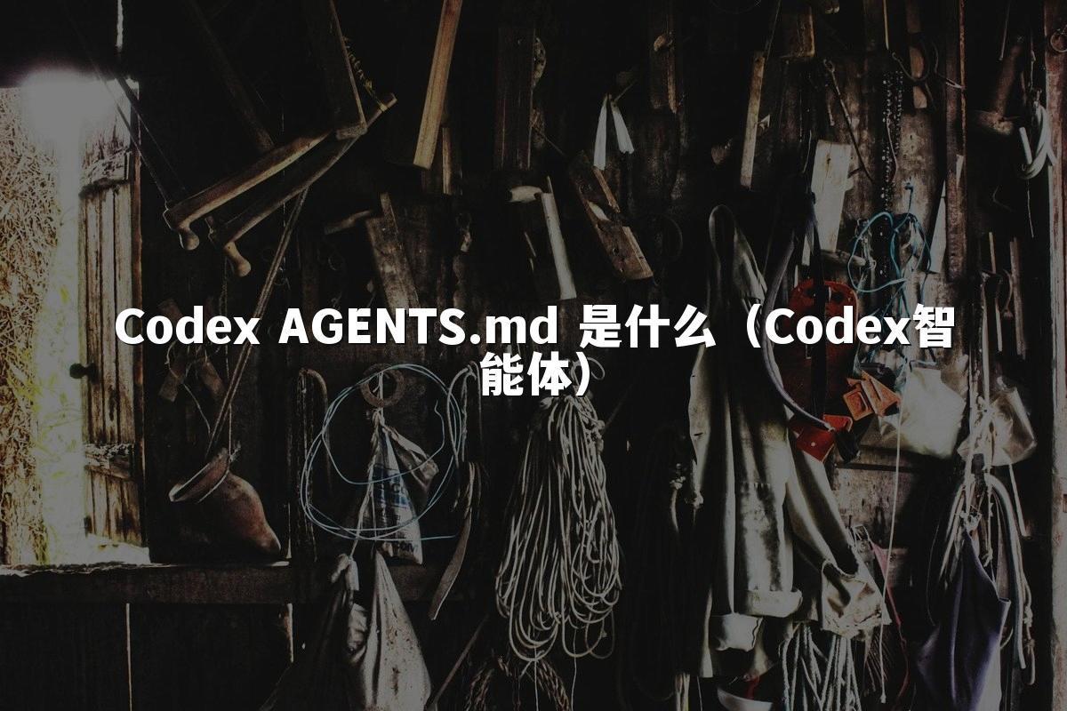 Codex AGENTS.md 是什么（Codex智能体）
