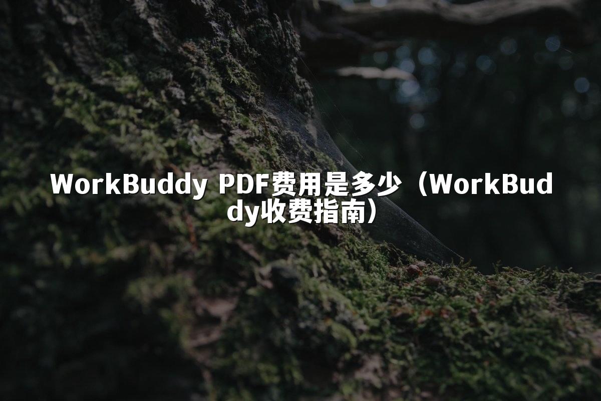 WorkBuddy PDF费用是多少(WorkBuddy收费指南)
