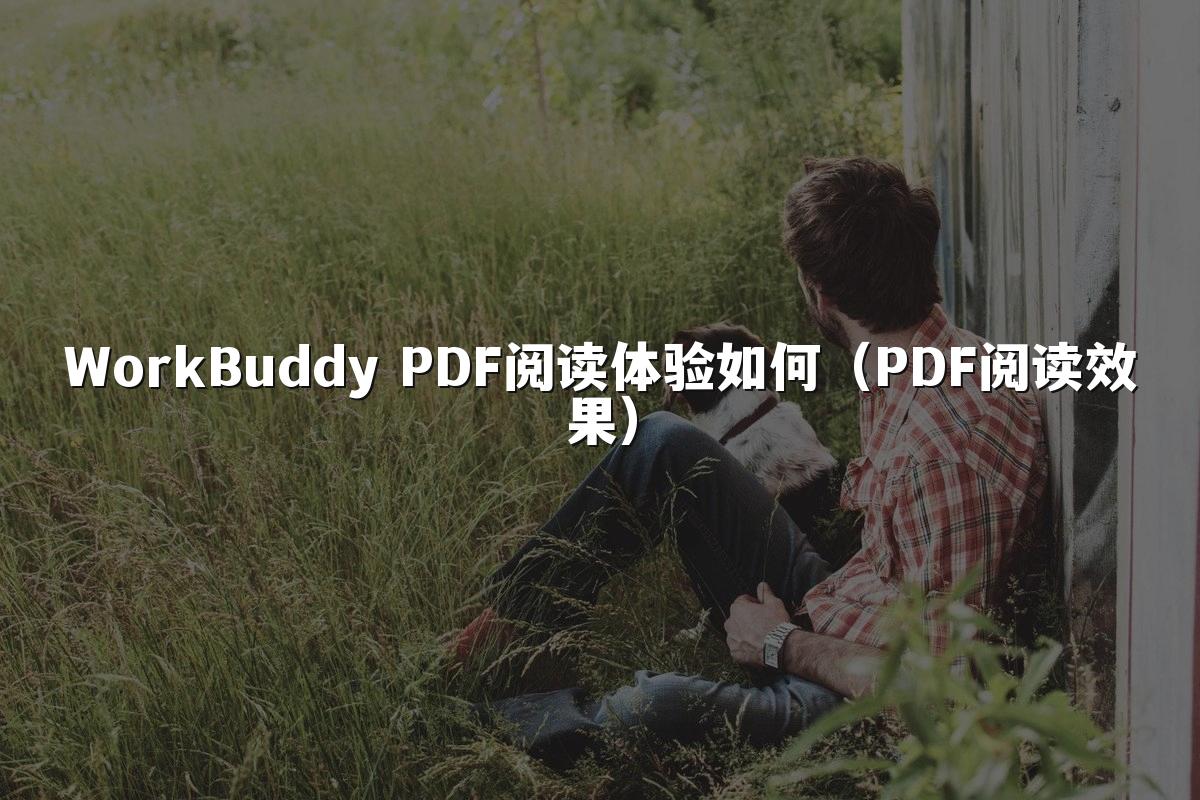 WorkBuddy PDF阅读体验如何（PDF阅读效果）