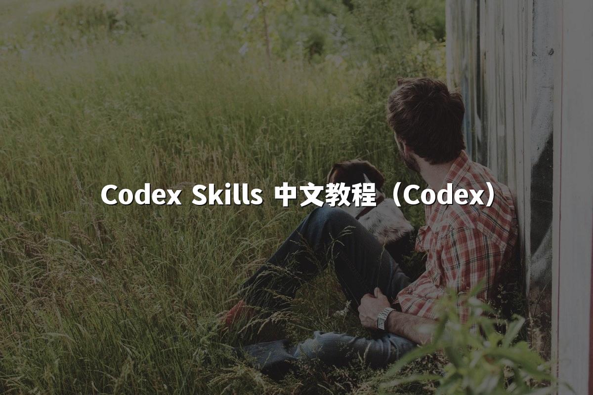 Codex Skills 中文教程(Codex)