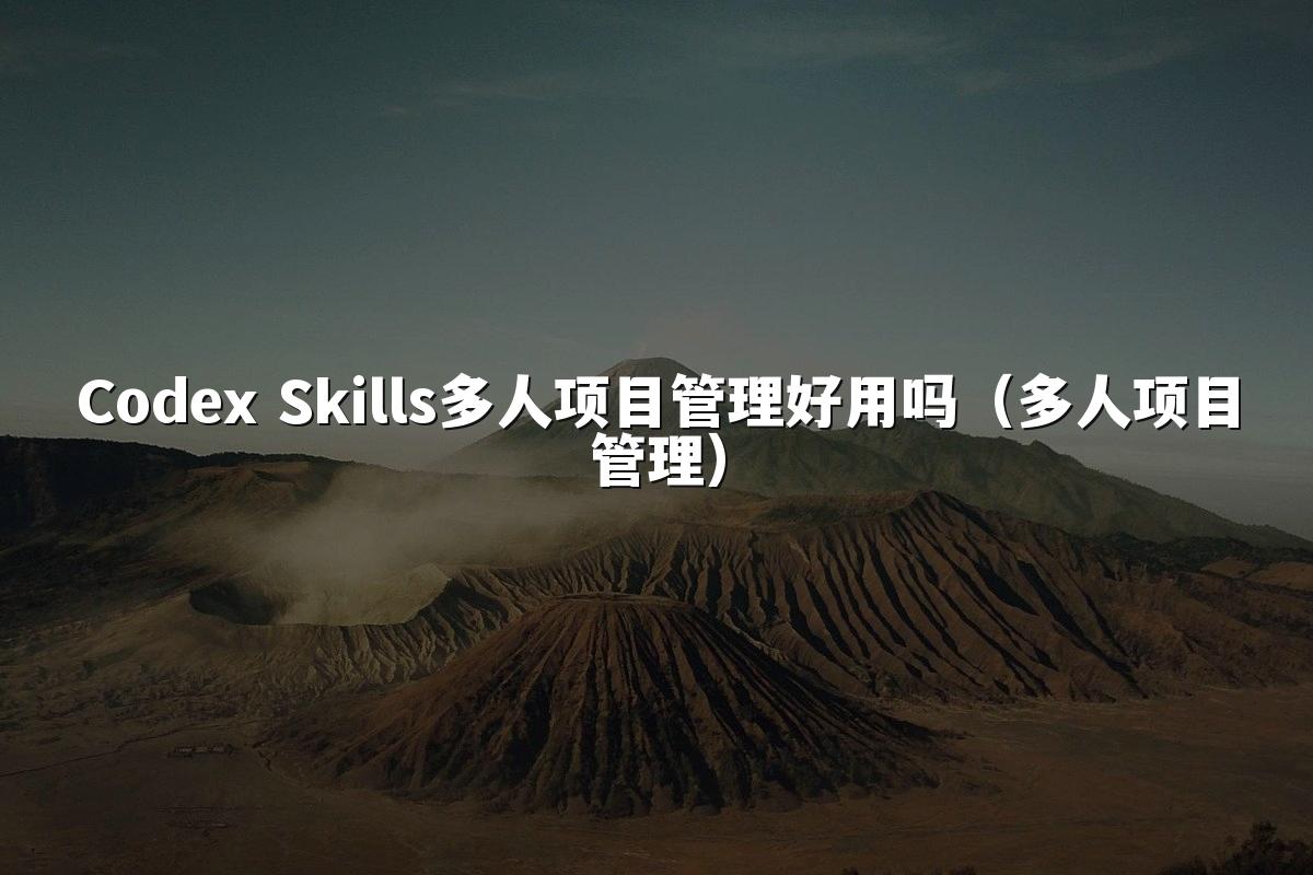 Codex Skills多人项目管理好用吗（多人项目管理）