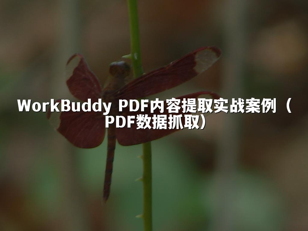 WorkBuddy PDF内容提取实战案例(PDF数据抓取)