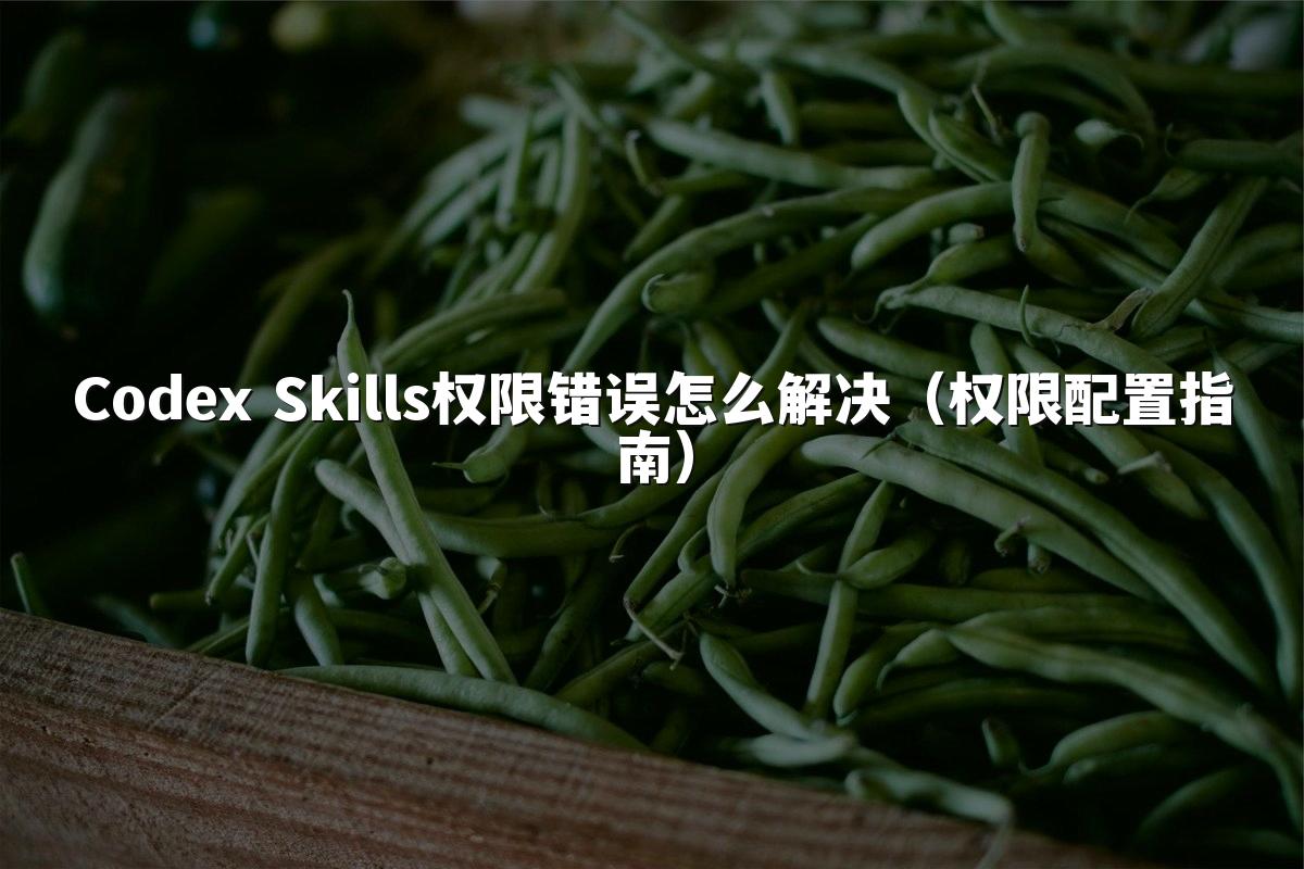 Codex Skills权限错误怎么解决(权限配置指南)