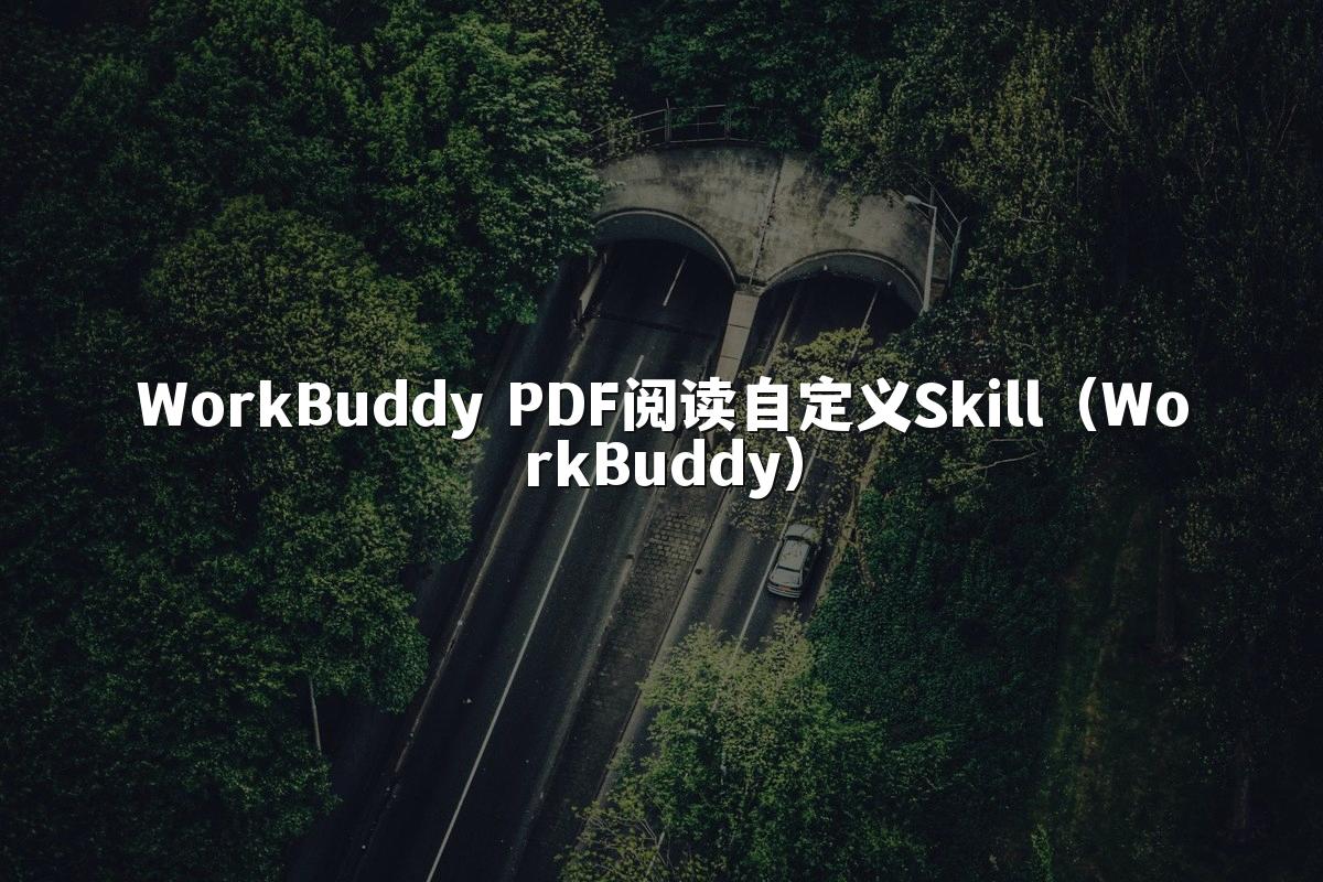 WorkBuddy PDF阅读自定义Skill（WorkBuddy）
