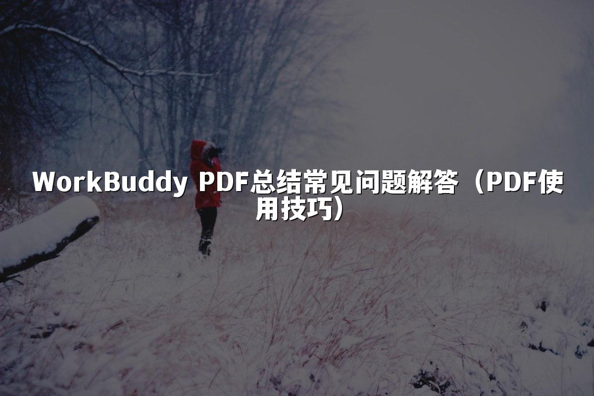 WorkBuddy PDF总结常见问题解答(PDF使用技巧)
