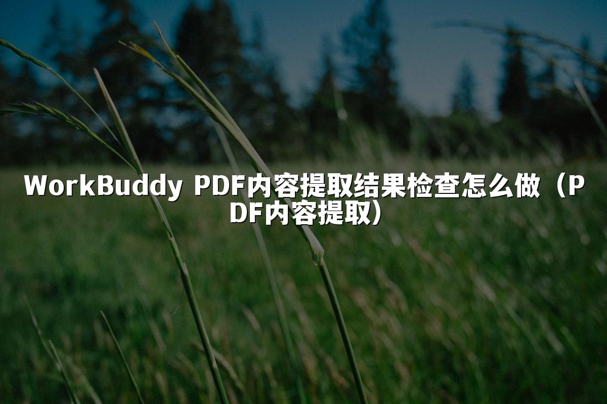 WorkBuddy PDF内容提取结果检查怎么做(PDF内容提取)