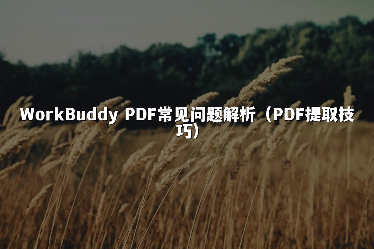 WorkBuddy PDF常见问题解析（PDF提取技巧）