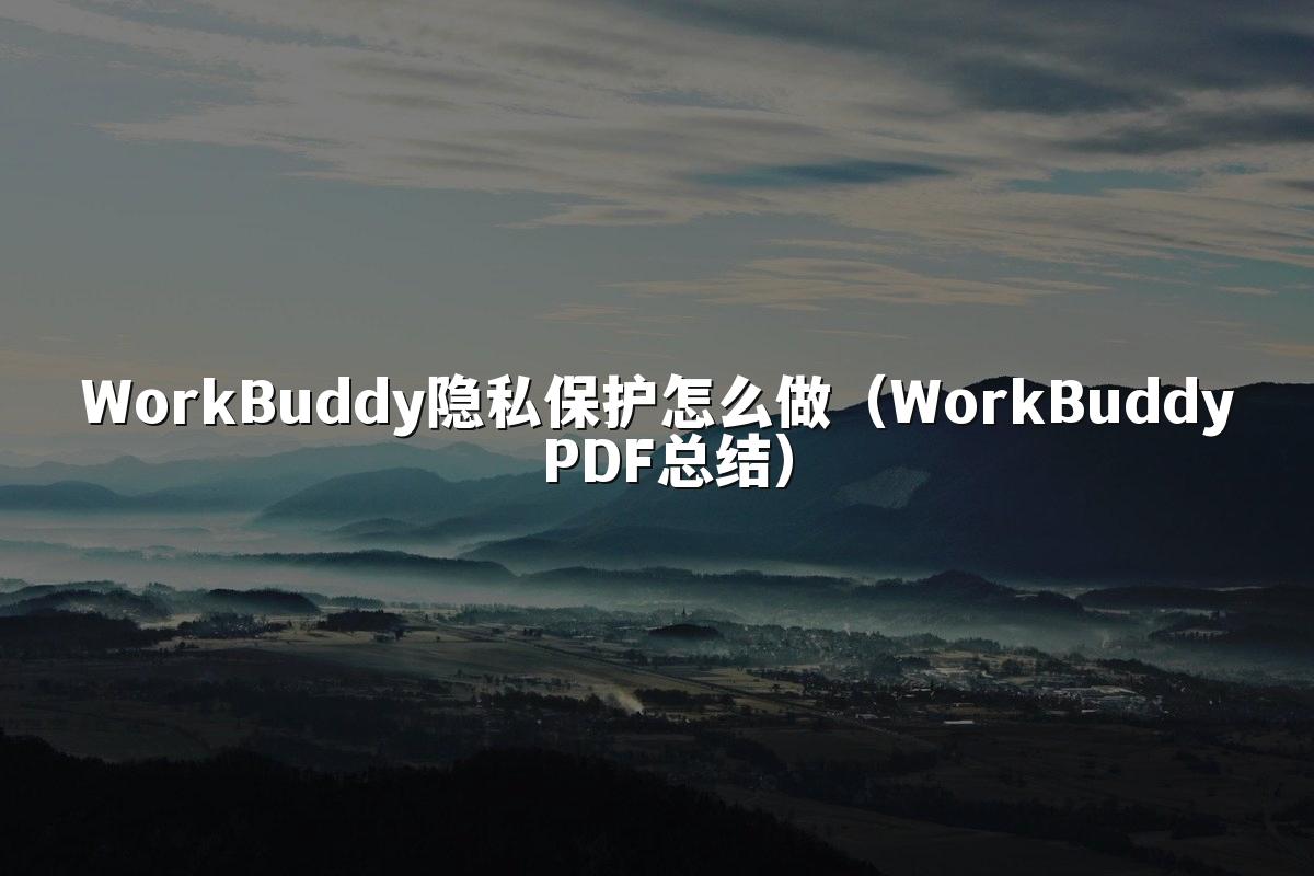 WorkBuddy隐私保护怎么做(WorkBuddy PDF总结)