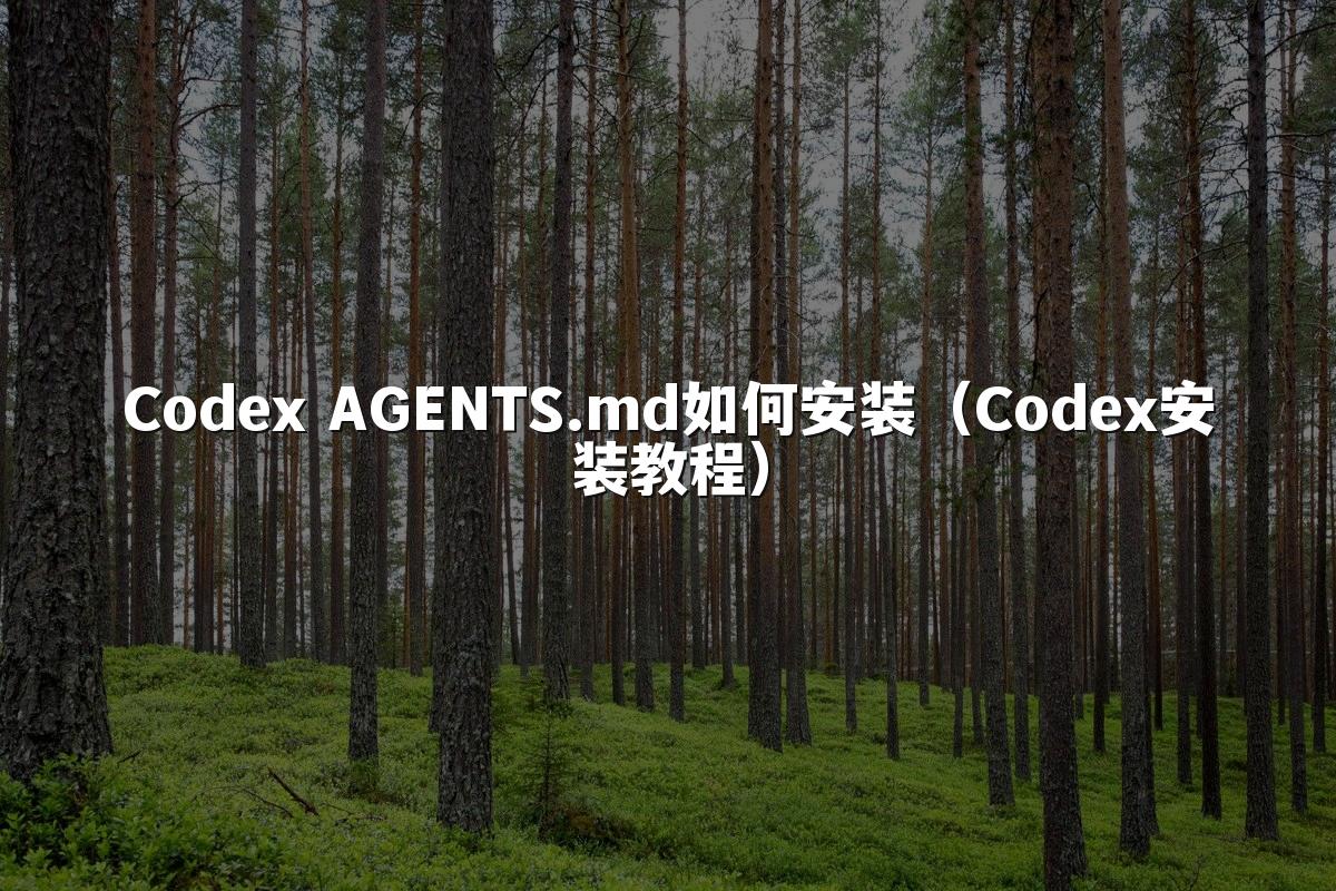 Codex AGENTS.md如何安装（Codex安装教程）