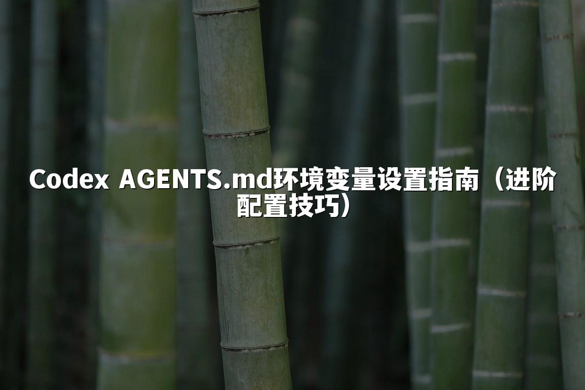 Codex AGENTS.md环境变量设置指南（进阶配置技巧）