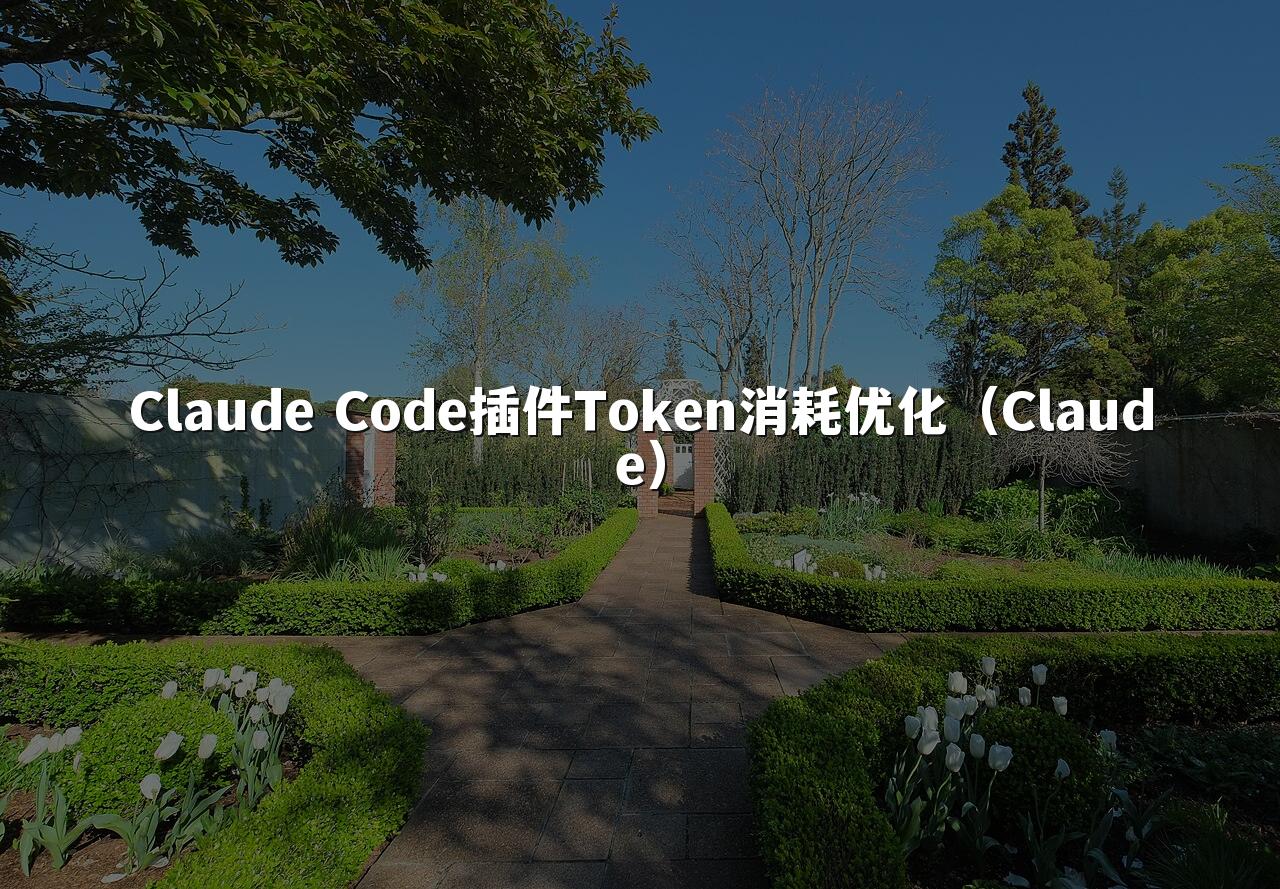 Claude Code插件Token消耗优化（Claude）