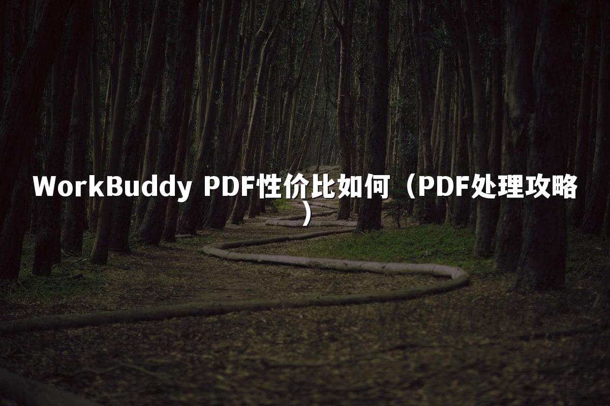 WorkBuddy PDF性价比如何(PDF处理攻略)