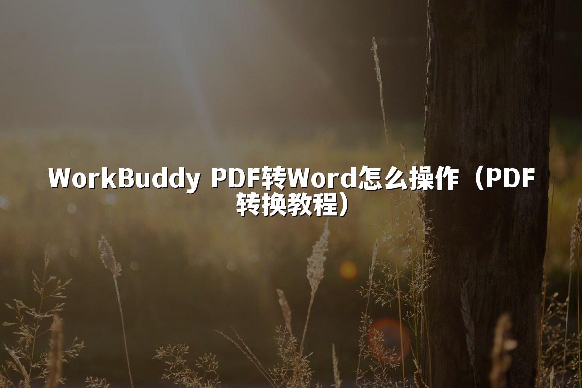 WorkBuddy PDF转Word怎么操作(PDF转换教程)