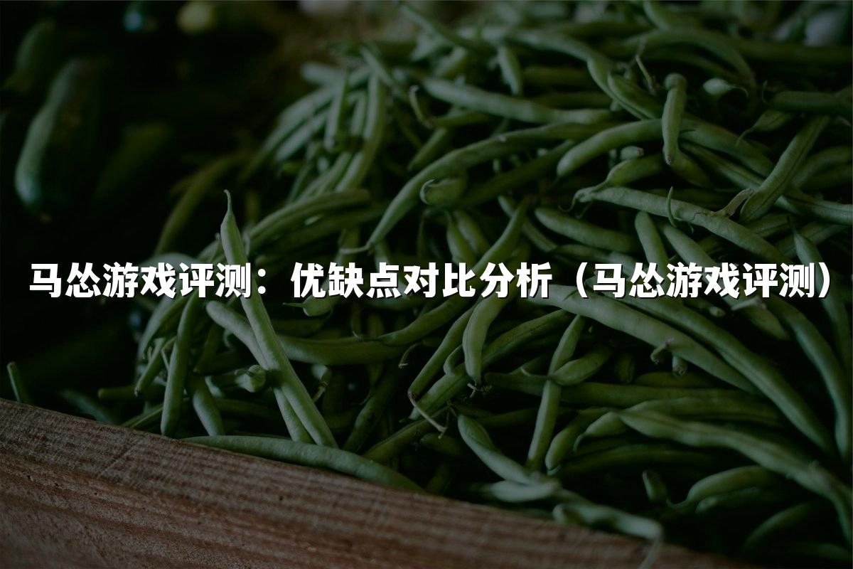 马怂游戏评测：优缺点对比分析（马怂游戏评测）
