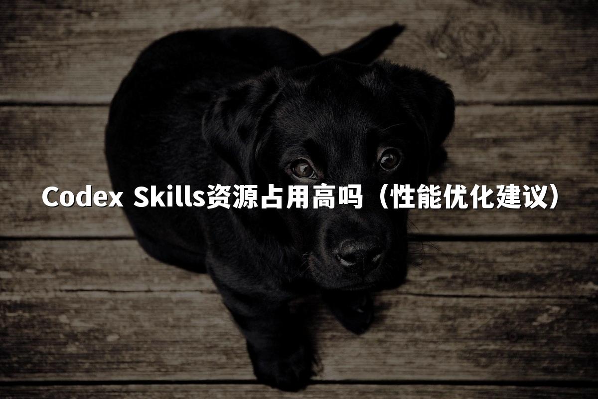 Codex Skills资源占用高吗（性能优化建议）