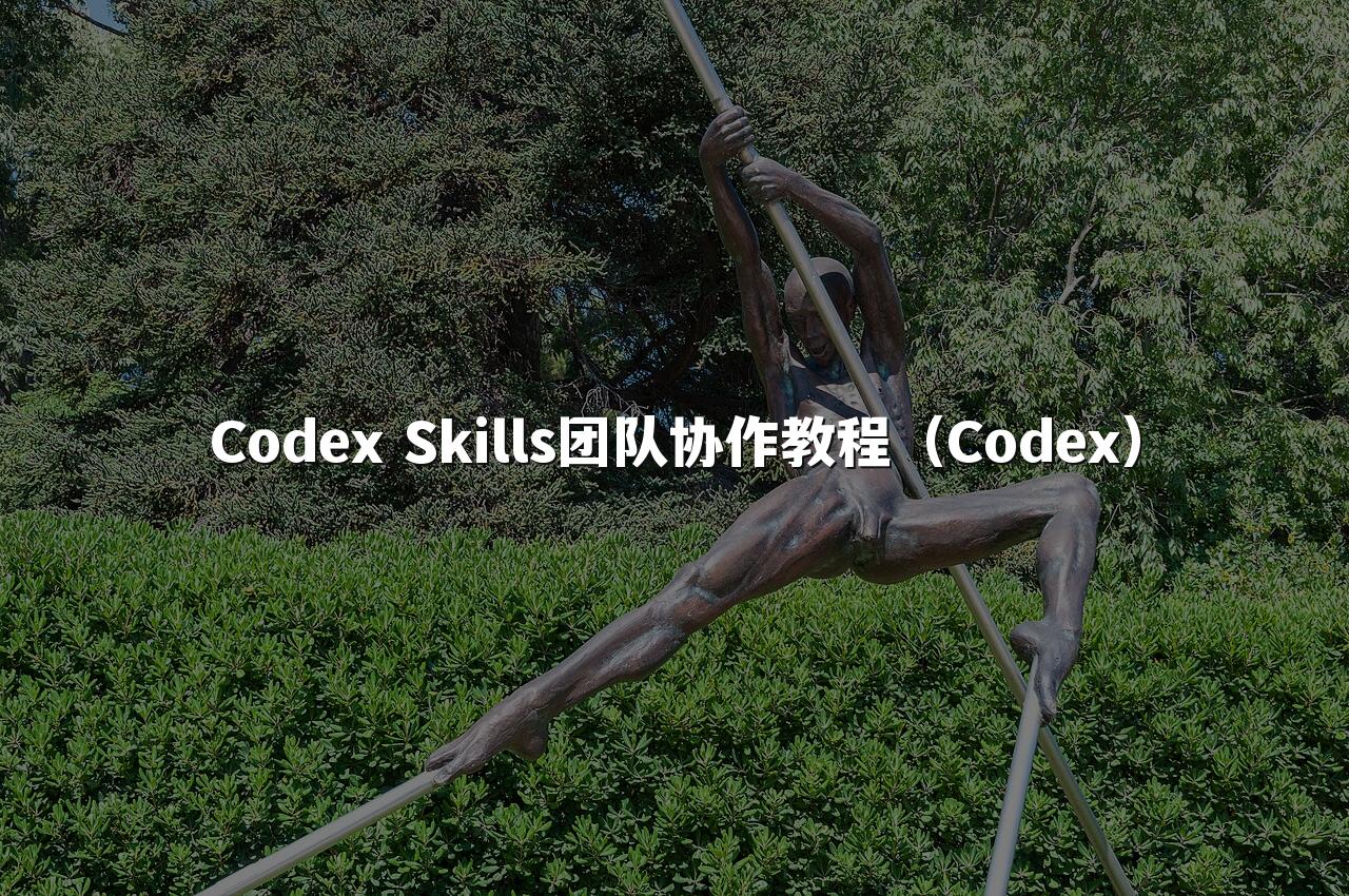 Codex Skills团队协作教程（Codex）