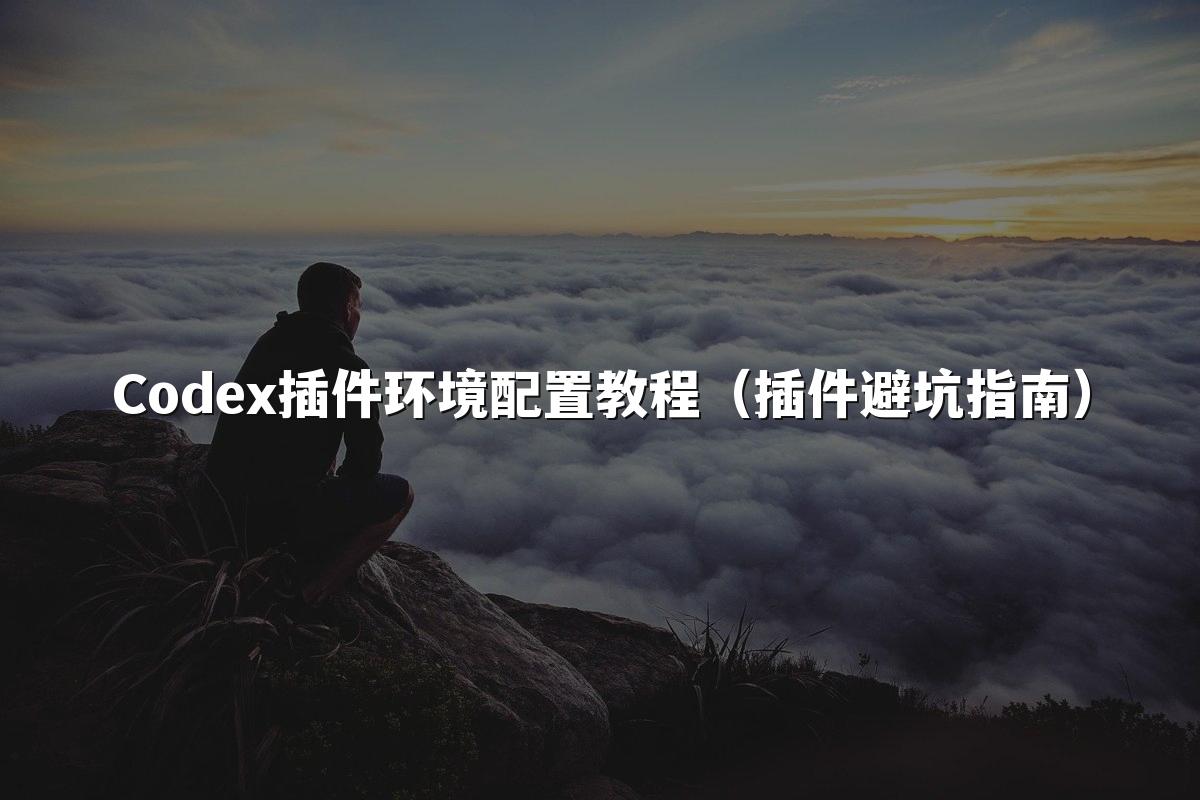 星空(中国)插件环境配置教程（插件避坑指南）