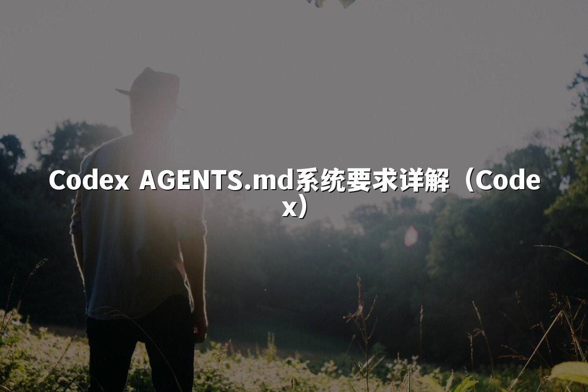 Codex AGENTS.md系统要求详解（Codex）